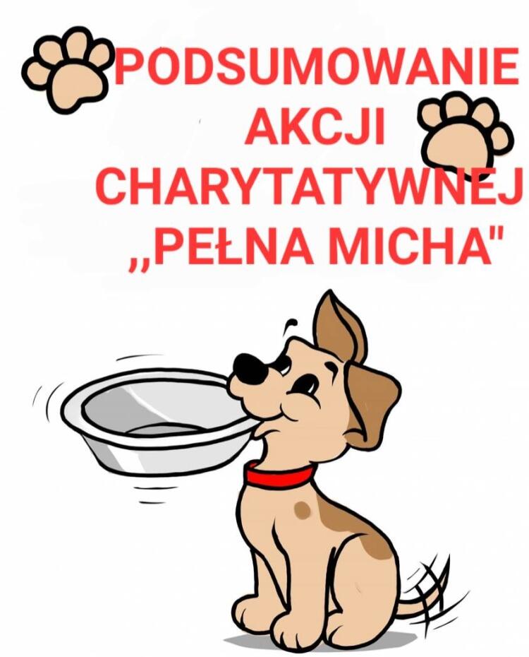 Podsumowanie Akcji Charytatywnej Pe Na Micha Szko A Podstawowa Nr