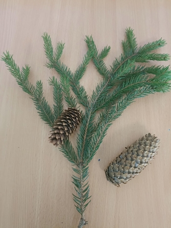 f233bdcd-a7b3-4d66-8fb7-dbafec71ffae