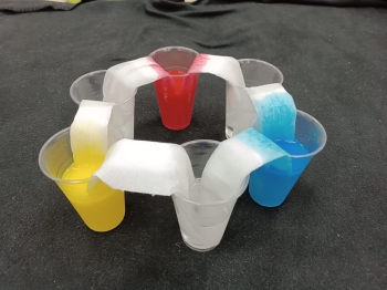 486641855_1167401611842730_533625143864601665_n