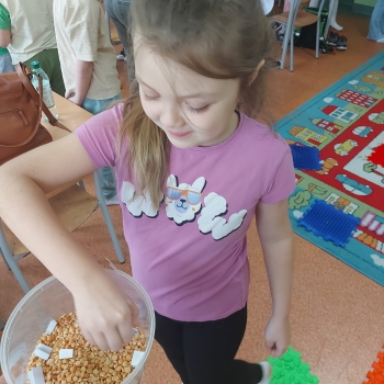 Zdjęcie WhatsApp 2025-06-21 o 17.53.19_5bd709bc