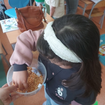 Zdjęcie WhatsApp 2025-06-21 o 17.53.19_27394bb1