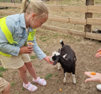 502476480_1237721011477456_2085636037433737878_n