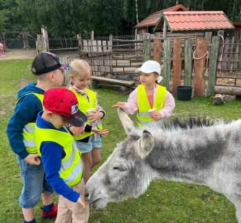 509601790_1237723118143912_6956286316340073039_n