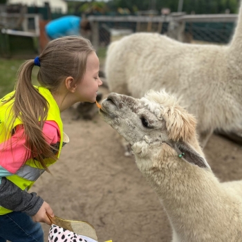 510391317_1237722461477311_8071615186260548547_n