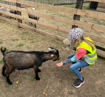 510971366_1237722348143989_4266654549728068224_n