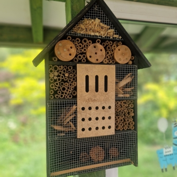 511044605_1237721388144085_4571240601967908518_n