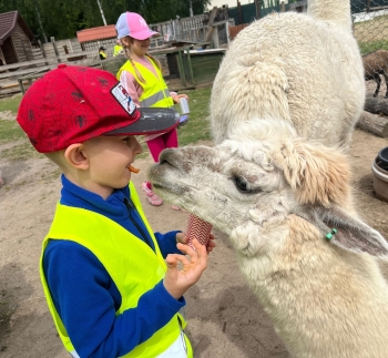 511091848_1237722321477325_4152455506337479071_n