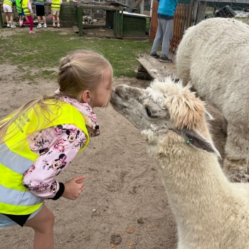 511138808_1237722484810642_3479988151726526487_n