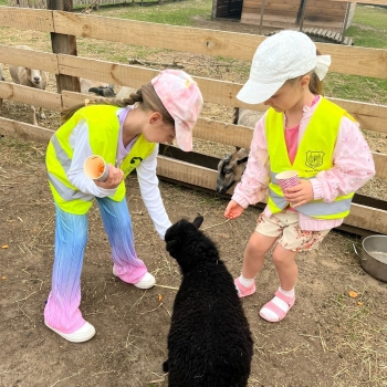 511139011_1237722744810616_267271691394700169_n