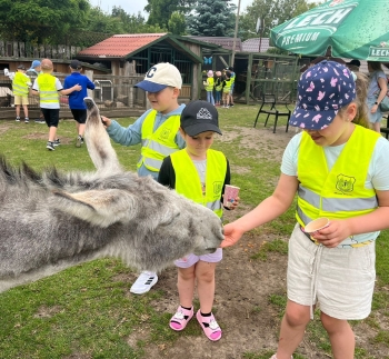 511157017_1237722404810650_2973255109842493118_n