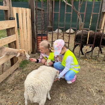 511195112_1237722374810653_5663482039411025216_n