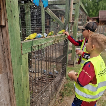 512662584_1237721578144066_3992689441311292388_n