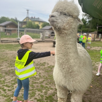 512885302_1237721901477367_1126062720304890653_n