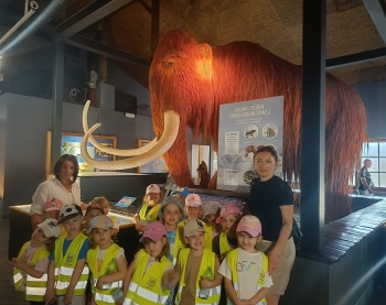 510410677_1238132348102989_6528020673142451700_n