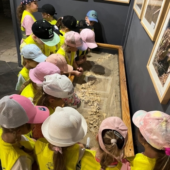 510843129_1238131664769724_3203011418090176270_n