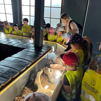 511127577_1238131691436388_6823111154090712470_n