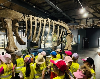 512605176_1238130734769817_4262330848648576363_n