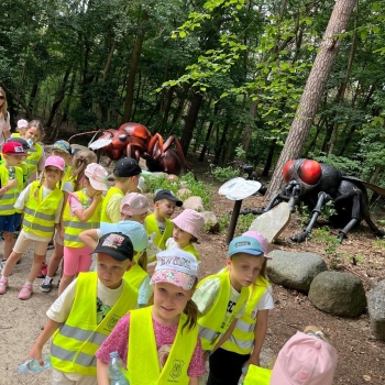 512726362_1238131941436363_3485206207897143409_n