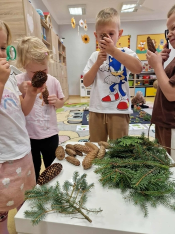 562399592_1328737172375839_704909408864684012_n