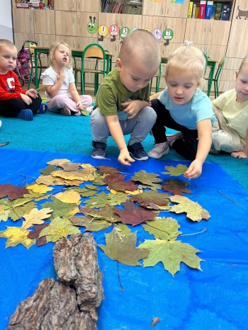 561343310_1331233102126246_5299773668764699199_n