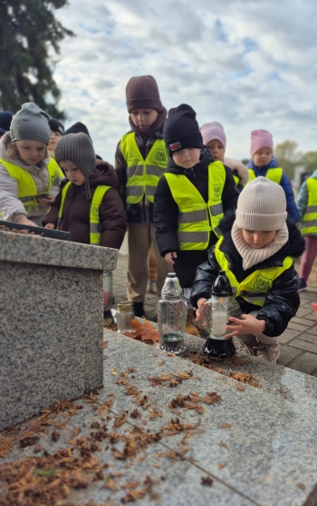 fba7b5cec289468ba545e4c6a2cad0b8