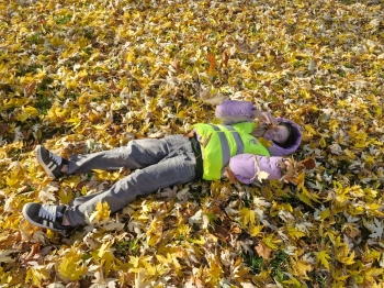 IMG-20251117-WA0054