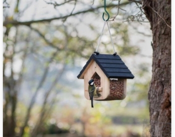 IMG-20251123-WA0006