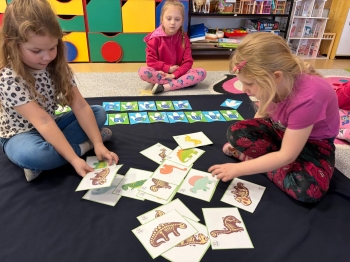 WhatsApp Image 2026-03-01 at 11.44.01 (4).jpeg