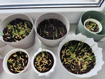 WhatsApp Image 2026-04-01 at 12.07.39 (4).jpeg