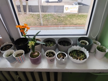 WhatsApp Image 2026-04-01 at 12.07.39 (5).jpeg