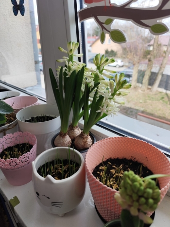 WhatsApp Image 2026-04-01 at 12.07.39 (6).jpeg