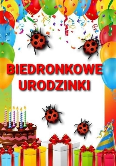 Urodziny w Biedronkach