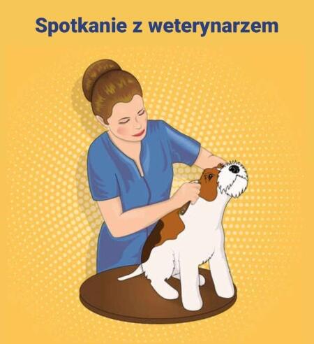 Spotkanie z weterynarzem