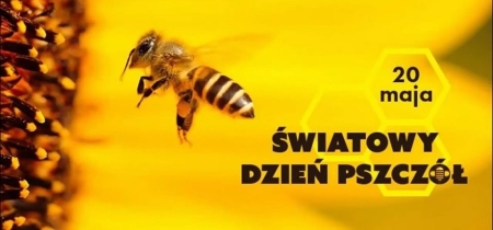Światowy Dzień Pszczół