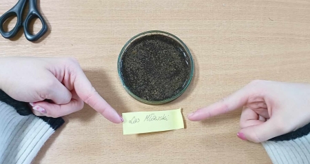 Projekt edukacyjny ,,Badamy Świat wokół nas - poznajemy środowisko przyrodnicze Ziemi Zawkrzeńskiej - Czy gleba w naszym mieście jest zanieczyszczona?