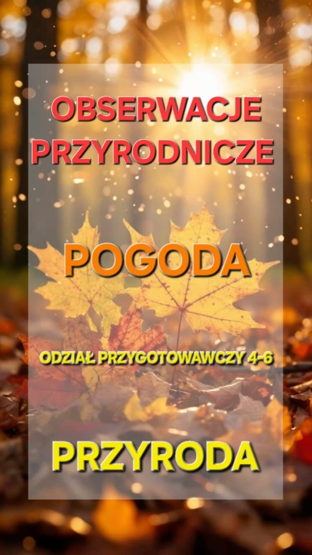 Obserwacje przyrodnicze w Parku Miejskim w Mławie