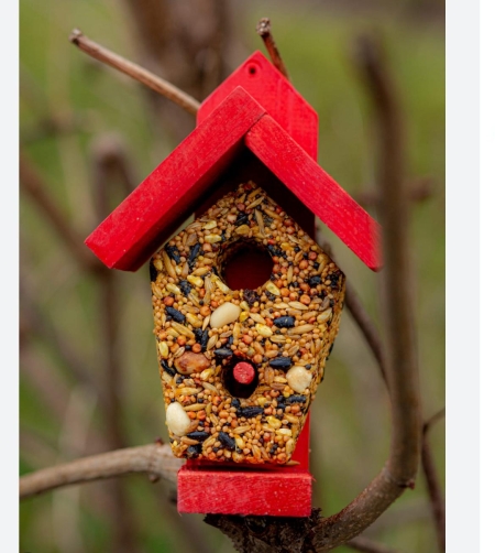 Jak pomóc zwierzętom przetrwać zimę?