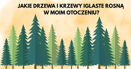 Jakie drzewa i krzewy iglaste rosną w moim otoczeniu?